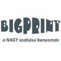 bigprint-logo-124x124-1