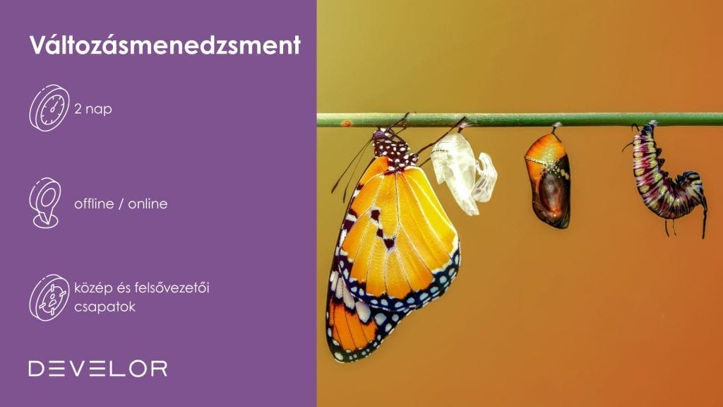 Változásmenedzsment tréning, üzleti tréning, céges tréning, vállalati tréning, céges képzés, üzleti képzés, vállalati képzés, vezetőfejlesztés